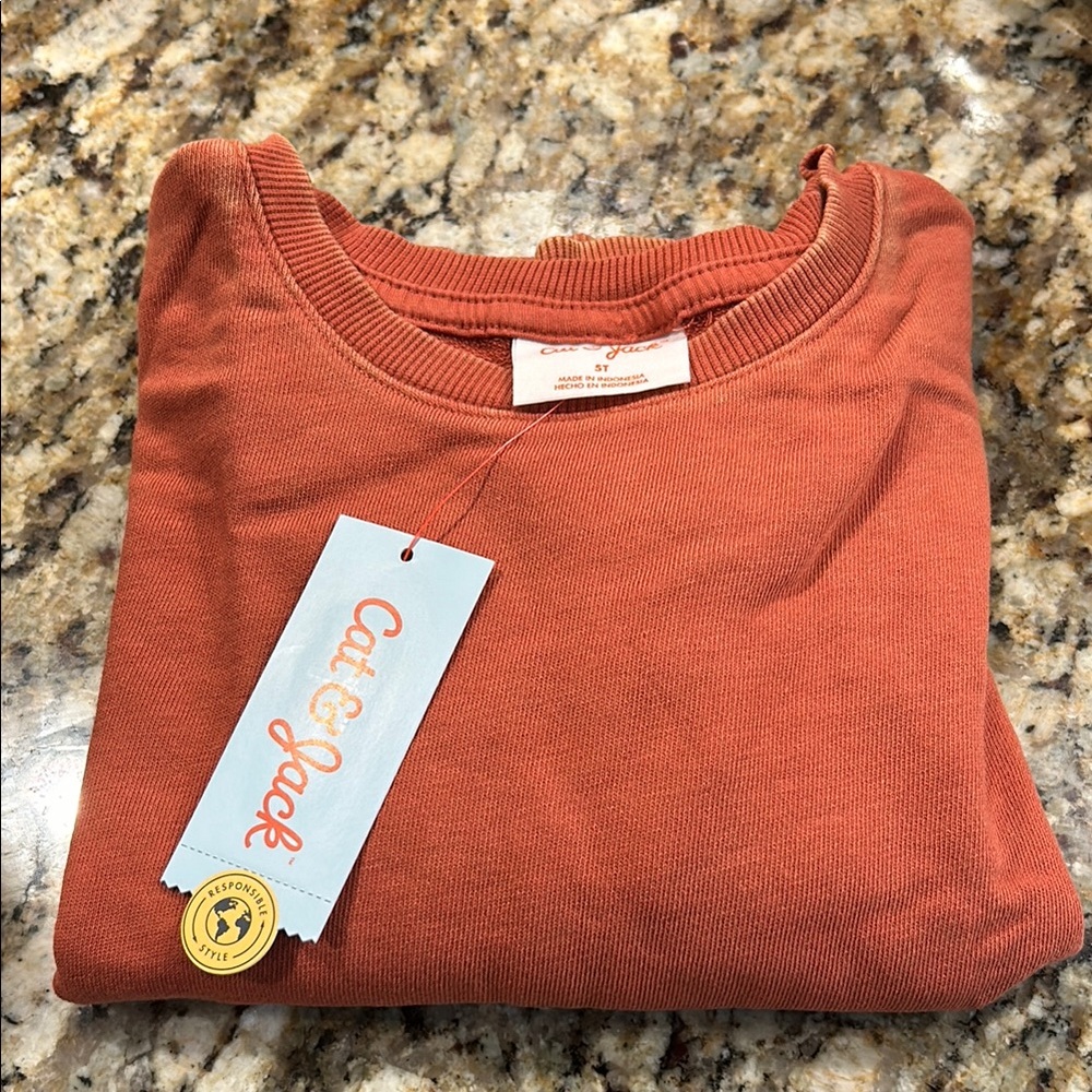Cat & Jack Rust Sweatshirt